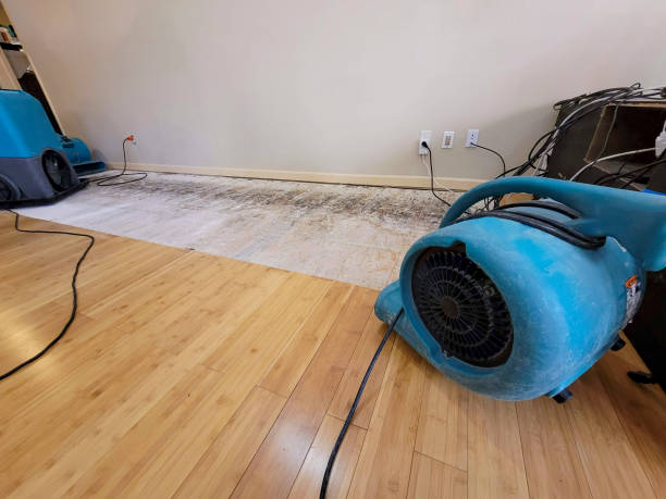 Professional Ceiling Water Damage Repair technician working in Six Lakes, MI